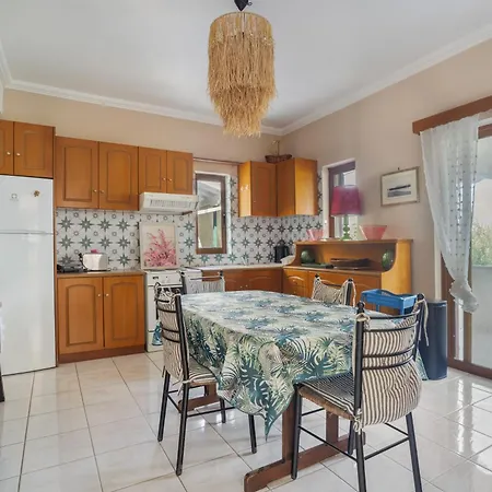 Theodoros Apartment Nikiana